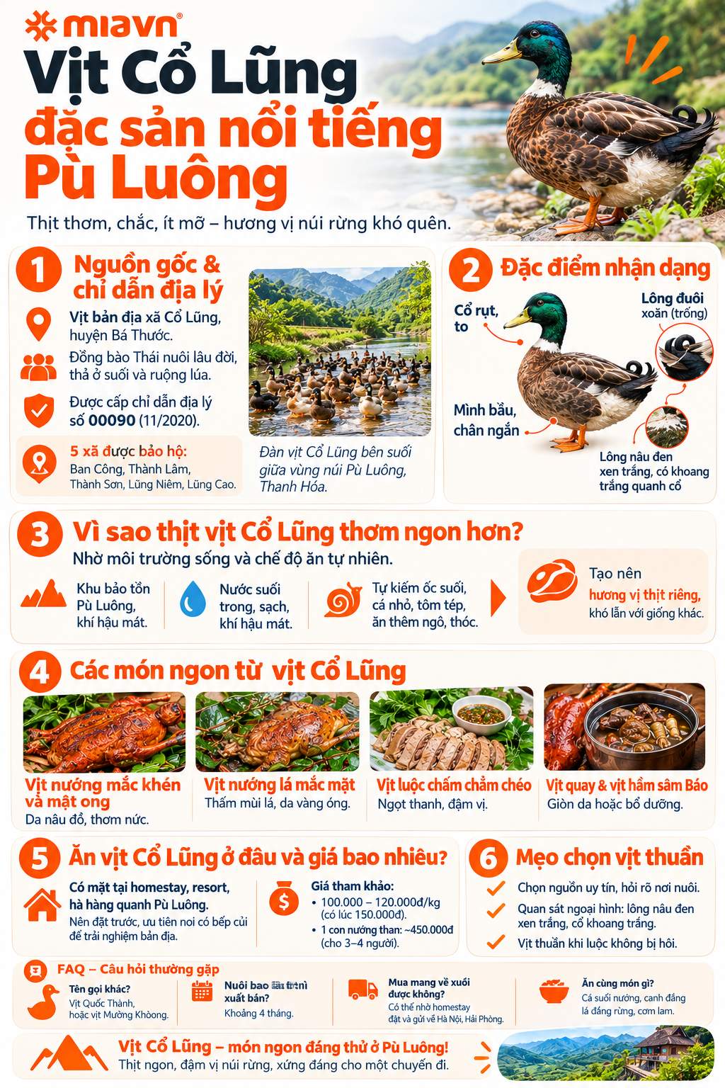 Đặc sản Vịt Cổ Lũng Pù Luông Thanh Hóa bạn nên thử một lần 2