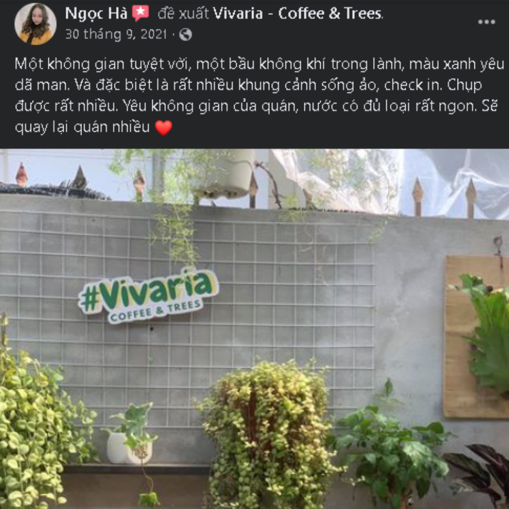 Vivaria - Coffee & Trees - Khu vườn nghệ thuật ngay giữa lòng thành phố 11