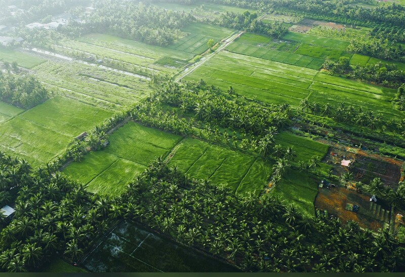 Trở về Vũng Liêm Vĩnh Long, miền đất địa linh nhân kiệt 6