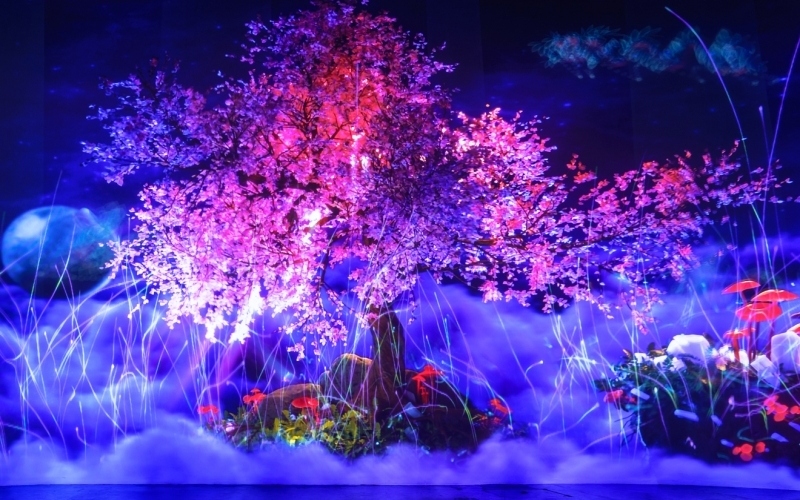 Vườn Ánh Sáng Lumiere: Nghệ thuật ánh sáng giữa lòng phố núi 7