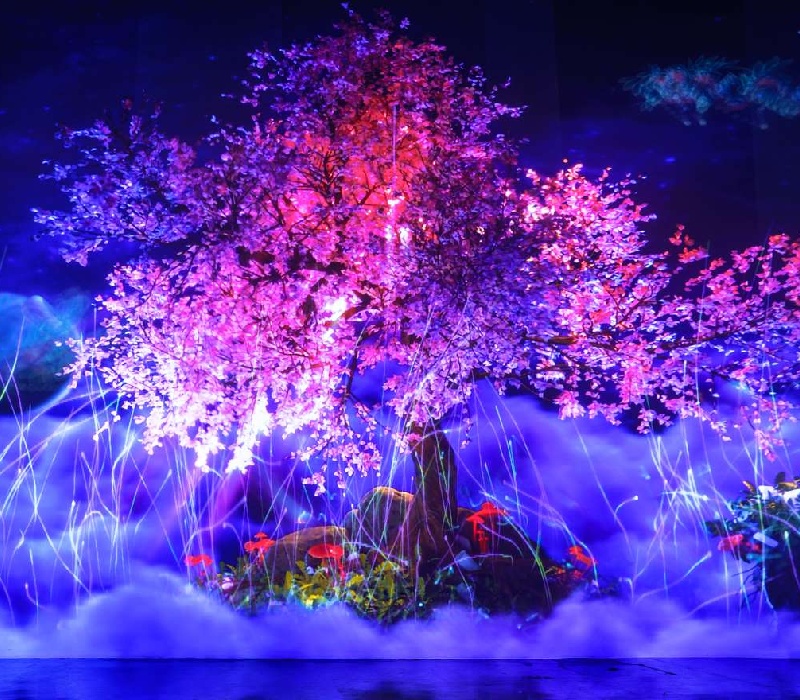 Vườn Ánh Sáng Lumiere: Nghệ thuật ánh sáng giữa lòng phố núi