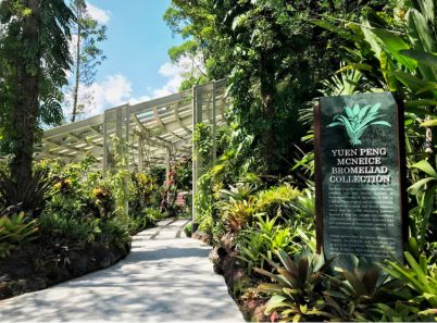 Vườn bách thảo Singapore, 'lá phổi xanh' của đảo quốc sư tử