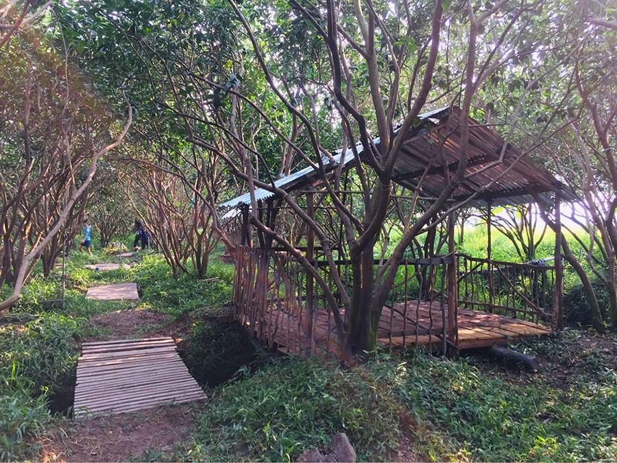 Vườn cam 8 Công xã Vĩnh Trạch (Quán Vườn Cam), trải nghiệm miệt vườn thú vị 4