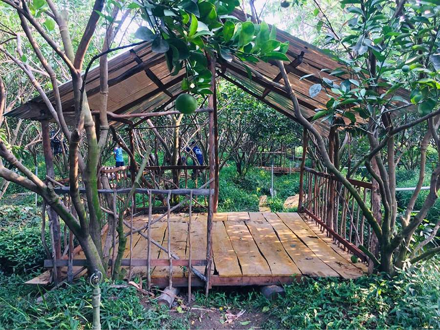 Vườn cam 8 Công xã Vĩnh Trạch (Quán Vườn Cam), trải nghiệm miệt vườn thú vị 3