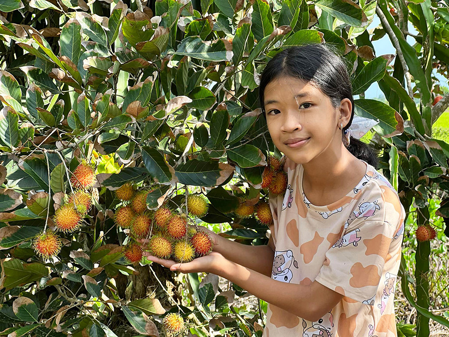 Vườn chôm chôm anh Lẹ Núi Sập, loại hình du lịch miệt vườn thú vị 3