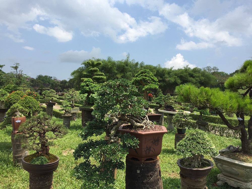 Vườn Cơ Hạ - Kiệt tác vườn cảnh nổi tiếng dưới thời nhà Nguyễn 5