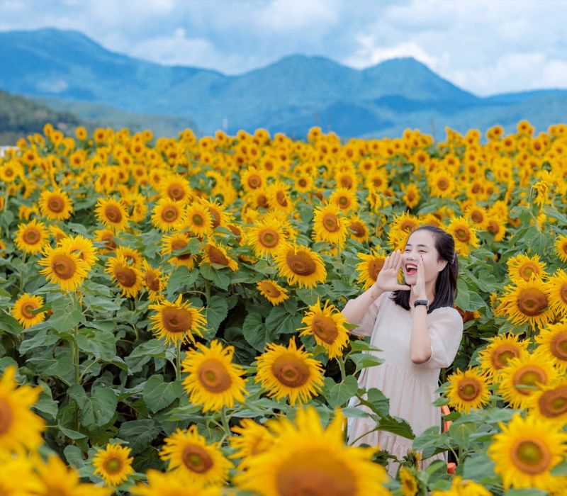 Top 9 vườn hoa Đà Lạt với vẻ đẹp thơ mộng bạn không nên bỏ lỡ 6