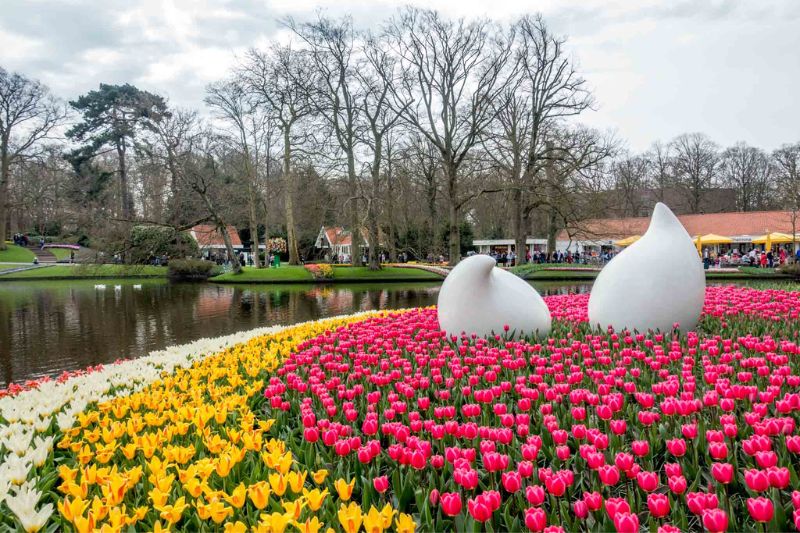 Lạc vào vườn Keukenhof với cánh đồng 7 triệu hoa tulip nở rộ 6