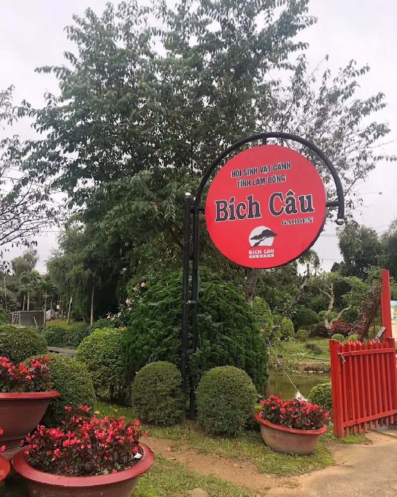Điểm check-in vườn hoa mẫu đơn Đà Lạt đang gây sốt hiện nay 4