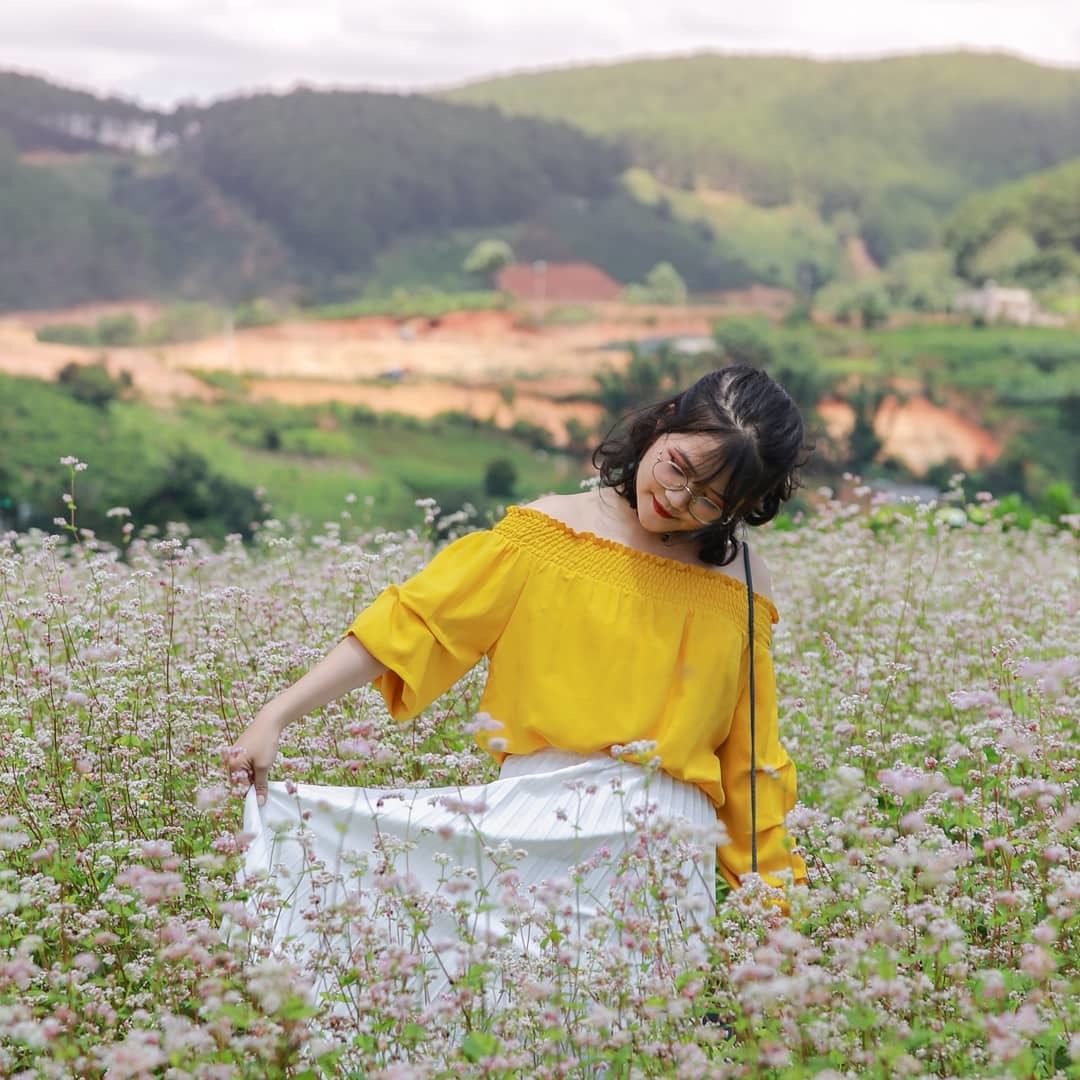 Vườn hoa tam giác mạch Tà Nung - Chiêm ngưỡng cánh đồng hoa khoe sắc tại Đà Lạt 4
