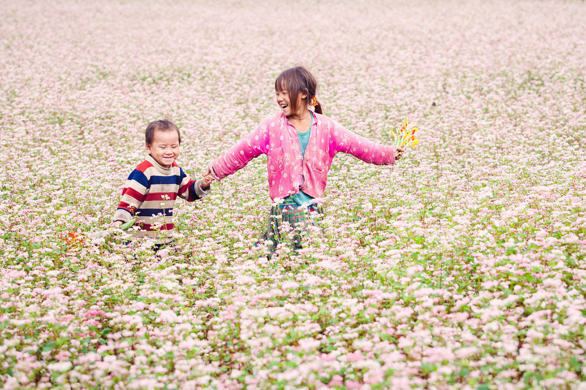 Vườn hoa tam giác mạch Tà Nung - Chiêm ngưỡng cánh đồng hoa khoe sắc tại Đà Lạt 6