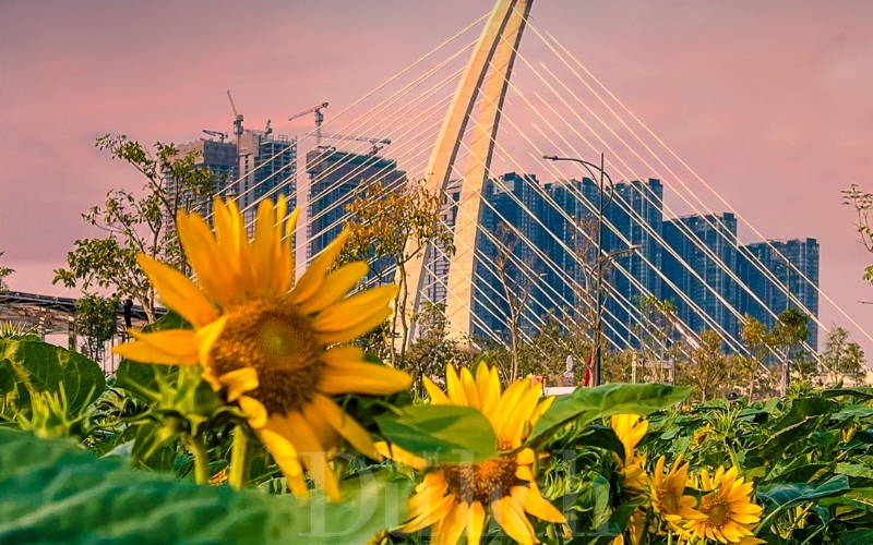 Check-in nhanh 3 vườn hoa tết đẹp, miễn phí tại TPHCM 5