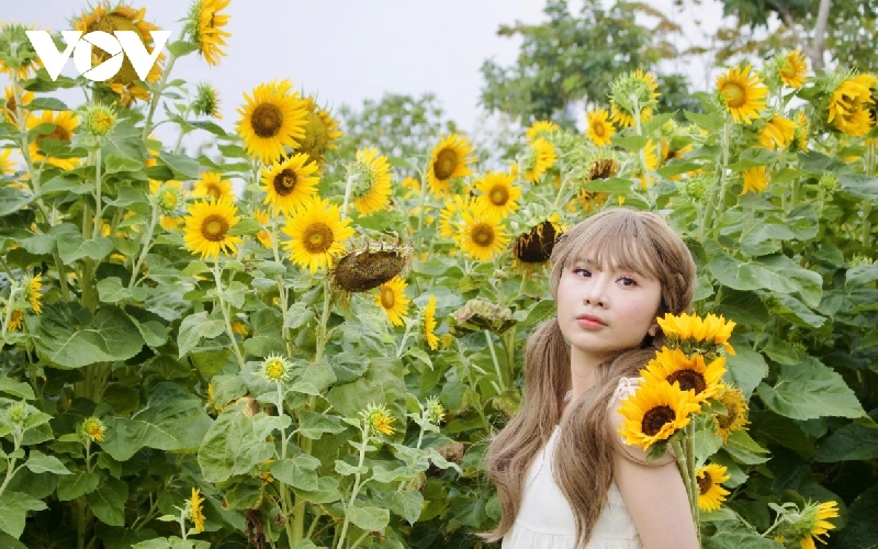 Check-in nhanh 3 vườn hoa tết đẹp, miễn phí tại TPHCM 7