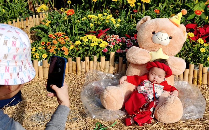 Check-in nhanh 3 vườn hoa tết đẹp, miễn phí tại TPHCM 11