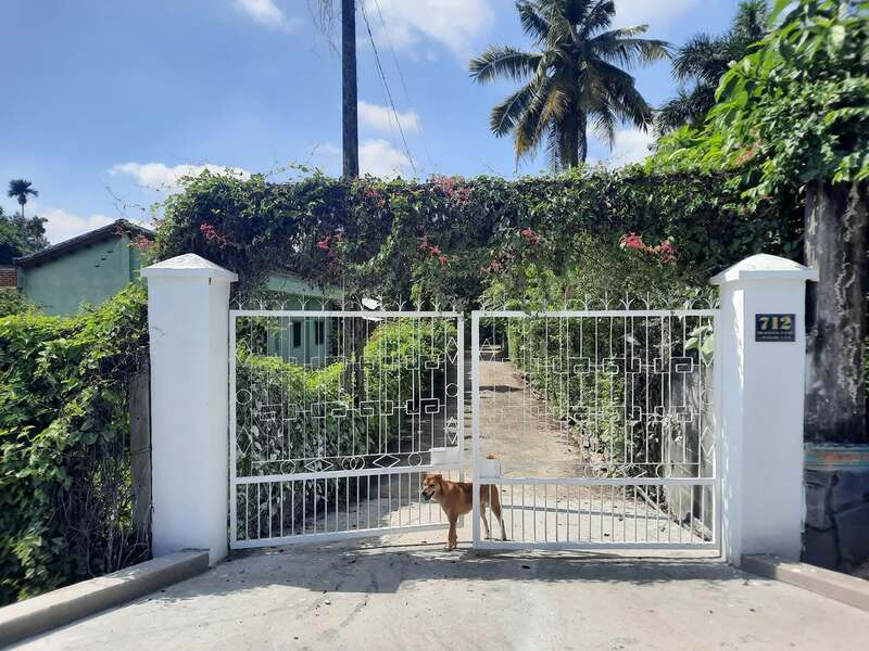 Review Vườn Nhà Ngoại Garden Homestay nơi trốn khói bụi Sài Gòn 9