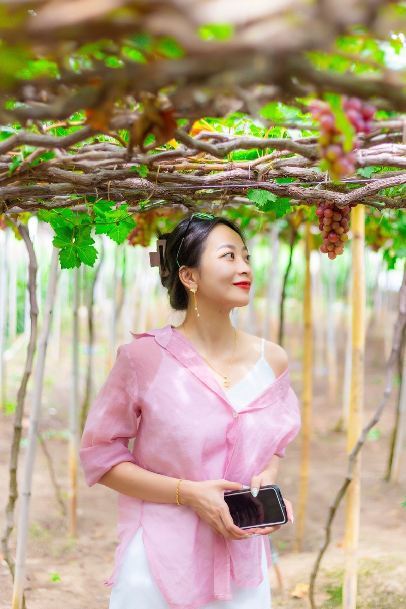 Điểm danh 7 vườn nho Ninh Thuận nổi tiếng nhất 8