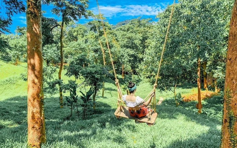 Trải nghiệm chân thật tại vườn Quốc Gia Phong Nha - Kẻ Bàng 14