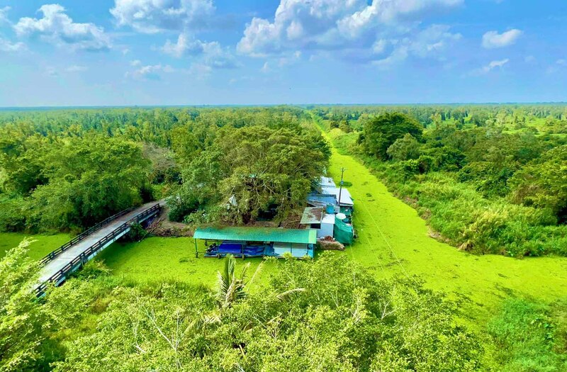 Chiêm ngưỡng Vườn quốc gia U Minh Hạ, vẻ đẹp thiên nhiên trù phú 13
