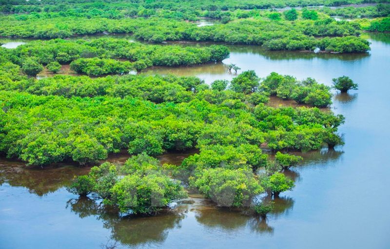 Ninh Bình có biển không? Khám phá ngay 7 bãi biển Ninh Bình đẹp nhất 16