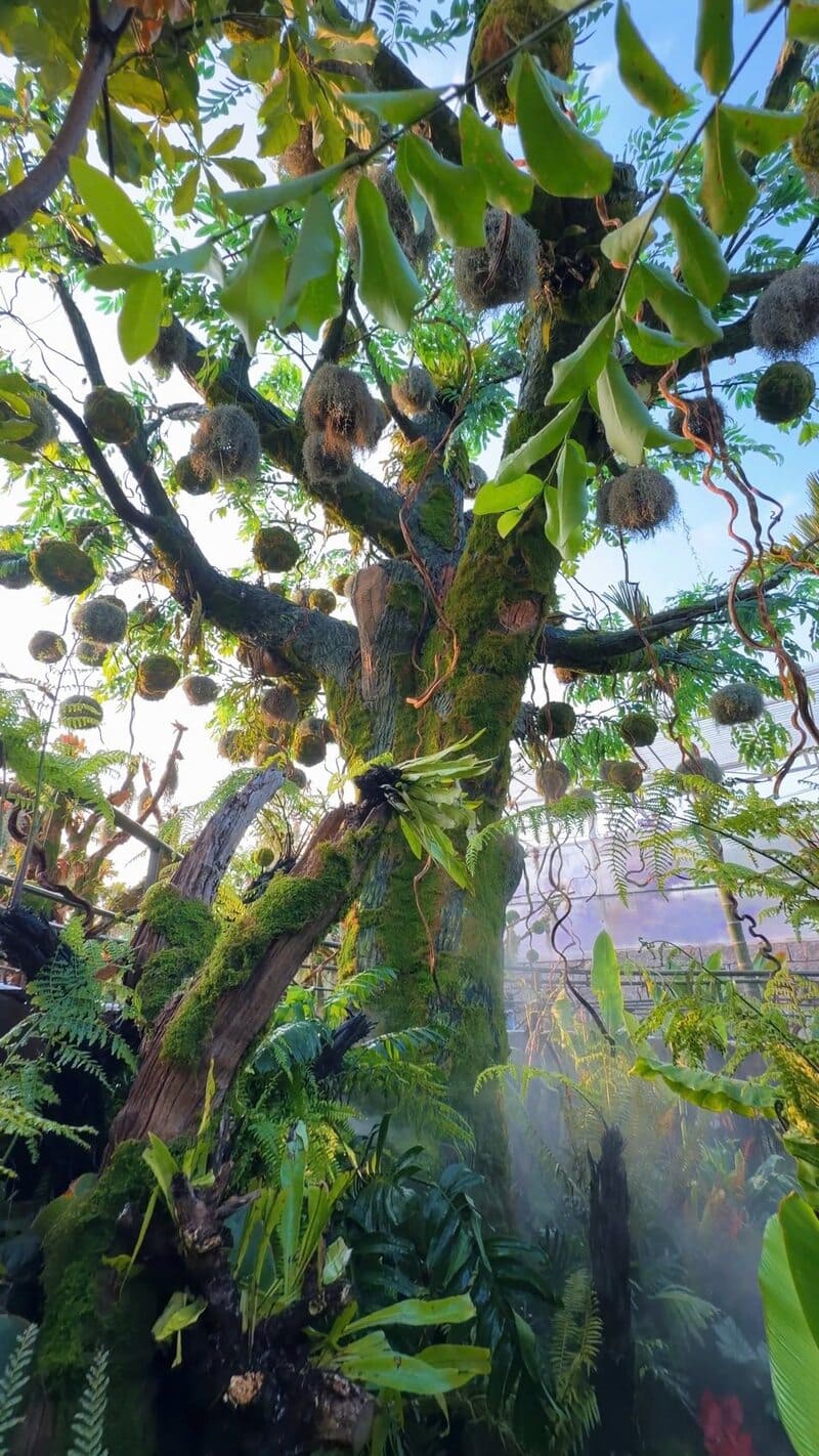 Vườn Thiên Giới, tiệm cà phê gây bão Sài Gòn với thác nước 6.5m 6