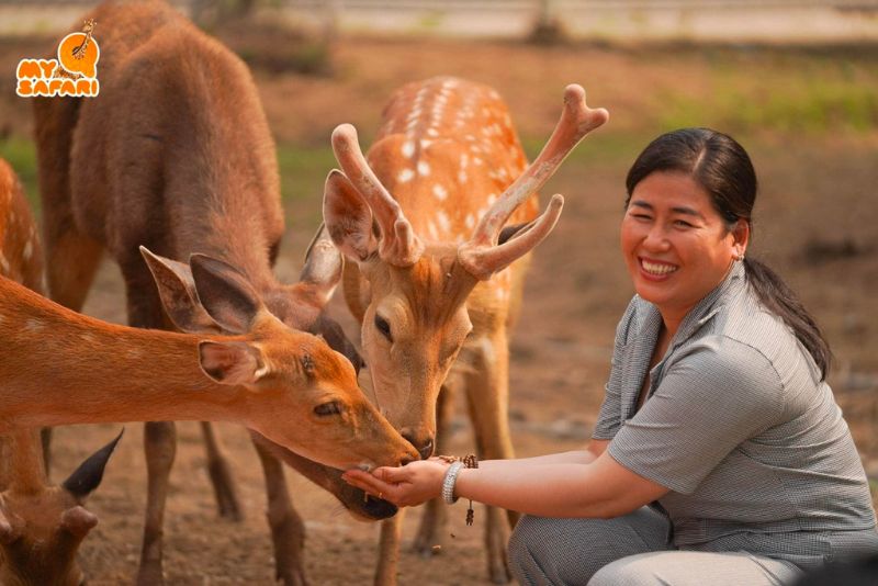 Chơi gì ở vườn thú Mỹ Quỳnh, điểm du lịch Long An nổi tiếng 4