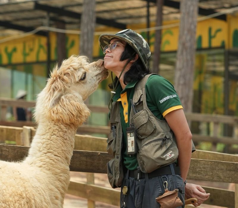 Vườn thú Zoodoo Đà Lạt: Cẩm nang tham quan mới nhất 2026