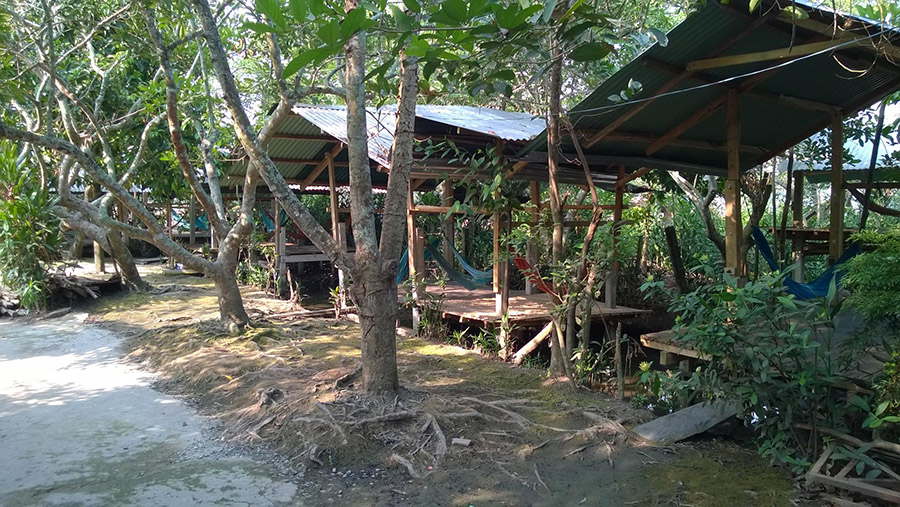 Vườn trái cây Gò Chùa Tây Ninh, điểm đến du lịch miệt vườn cực thú vị 10