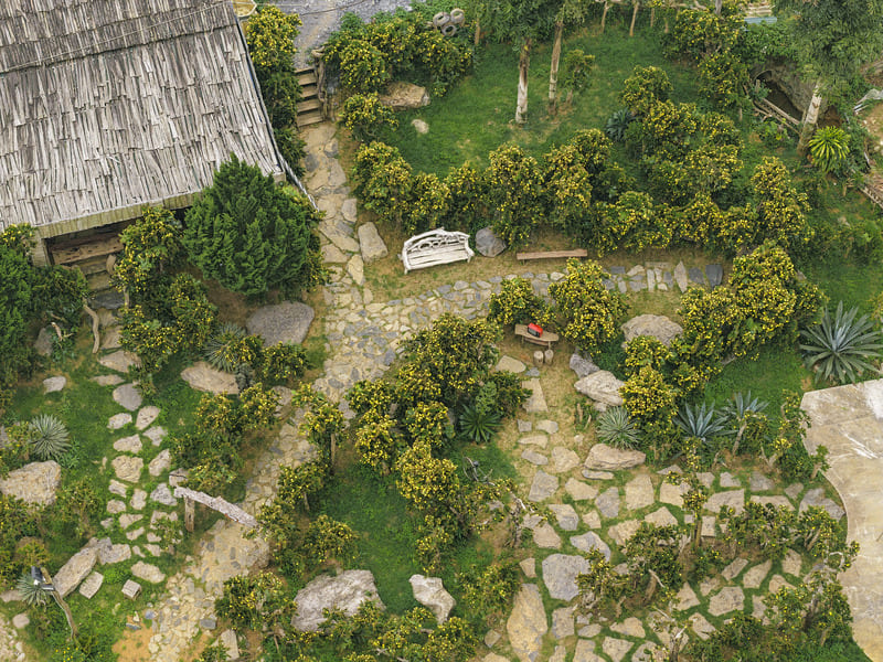 Vườn xương rồng Mộc Châu tráng lệ giữa núi rừng Tây Bắc 4