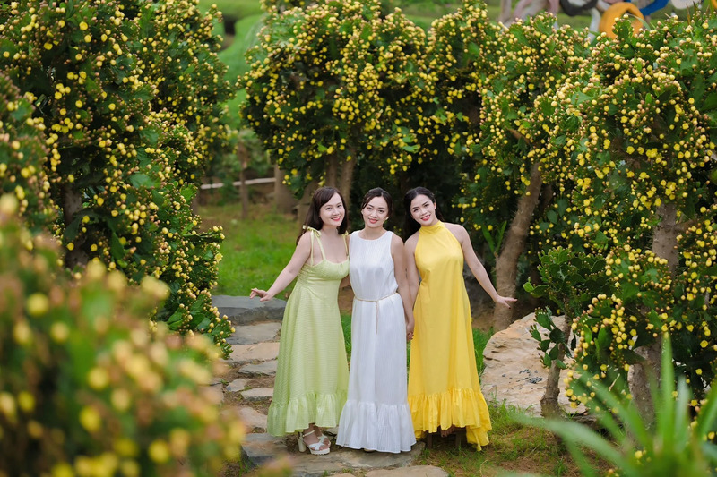 Vườn xương rồng Mộc Châu tráng lệ giữa núi rừng Tây Bắc 8