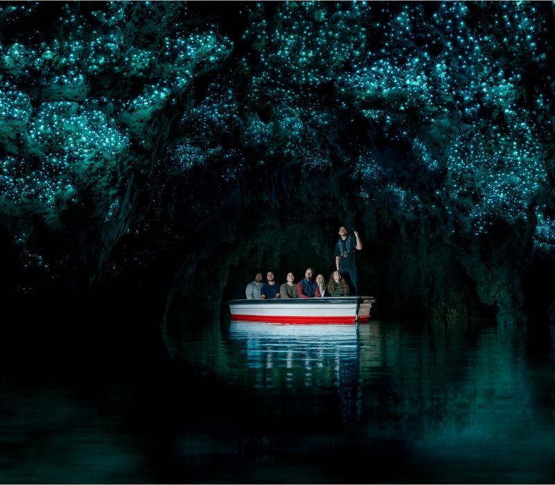 Waitomo Glowworm: Trải nghiệm ngồi thuyền đi giữa 3