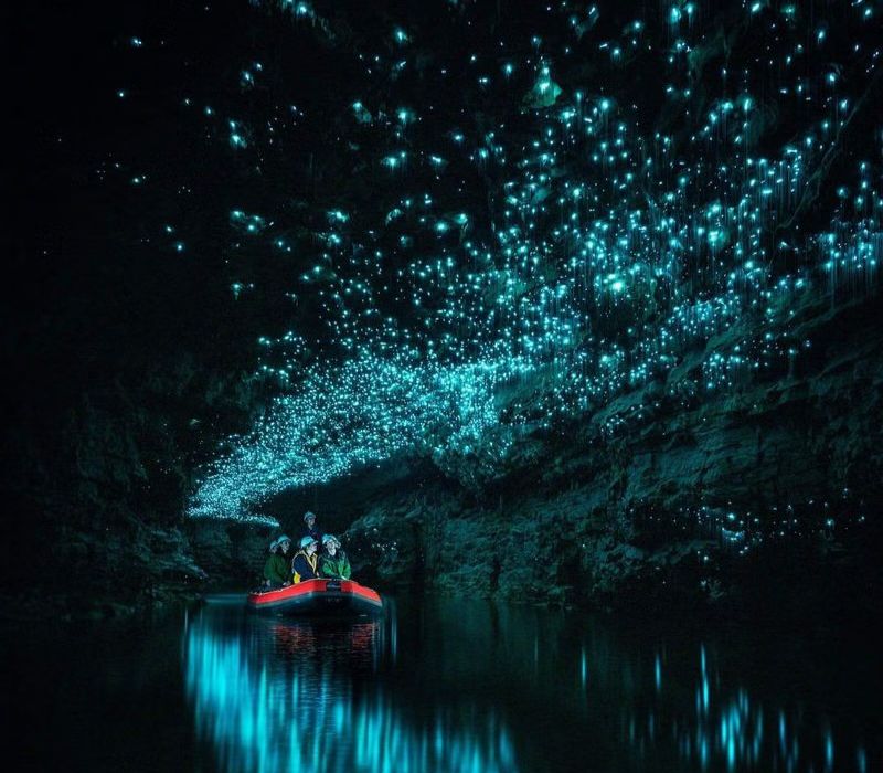 Waitomo Glowworm: Trải nghiệm ngồi thuyền đi giữa 2