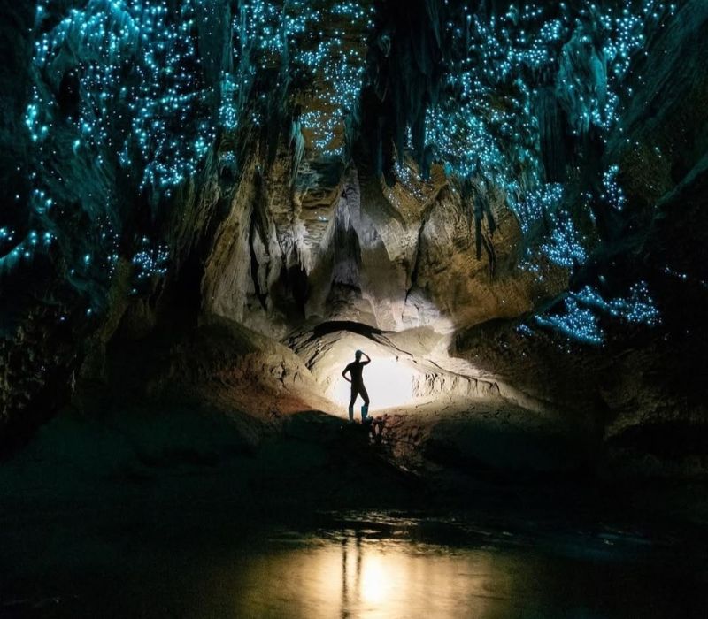 Waitomo Glowworm: Trải nghiệm ngồi thuyền đi giữa 4