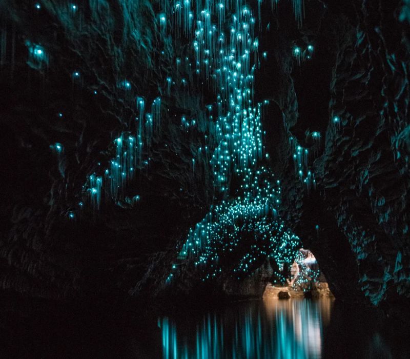 Waitomo Glowworm: Trải nghiệm ngồi thuyền đi giữa 6