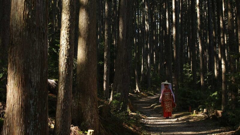 Wakayama vùng đất của những điểm đến linh thiêng tại Nhật Bản 10