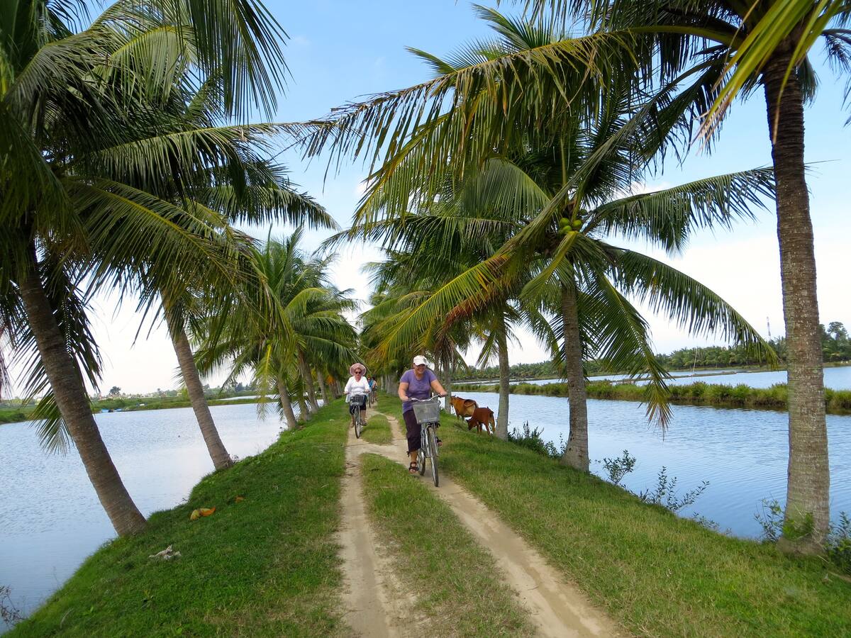 Wooden House Holiday Rental - Ngôi nhà ôm trọn thiên nhiên giữa lòng Hội An 19