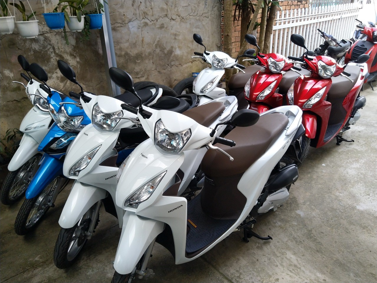 Xem ngay kinh nghiệm thuê xe máy ở Quảng Bình vừa nhanh vừa rẻ 4