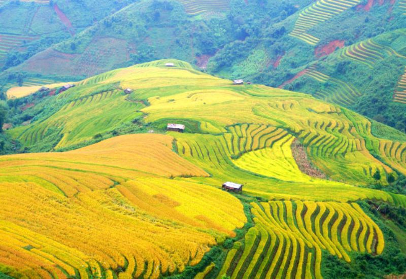 Khám phá Bắc Yên: Vùng đất hùng vĩ, thiên nhiên hoang sơ 9