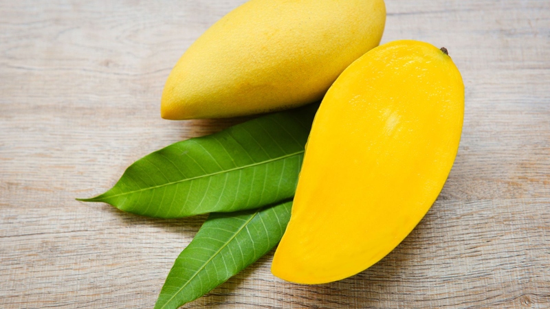 Xoài Cát Chu Đồng Tháp: Tinh hoa trái ngọt miền Tây 4