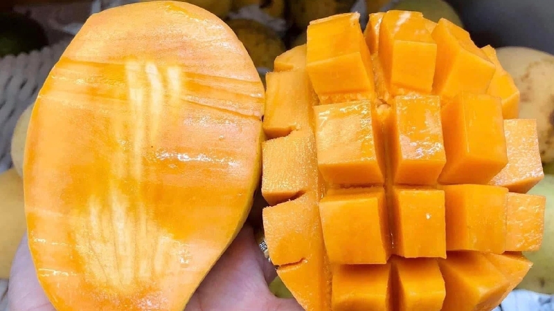 Xoài Cát Chu Đồng Tháp: Tinh hoa trái ngọt miền Tây 5