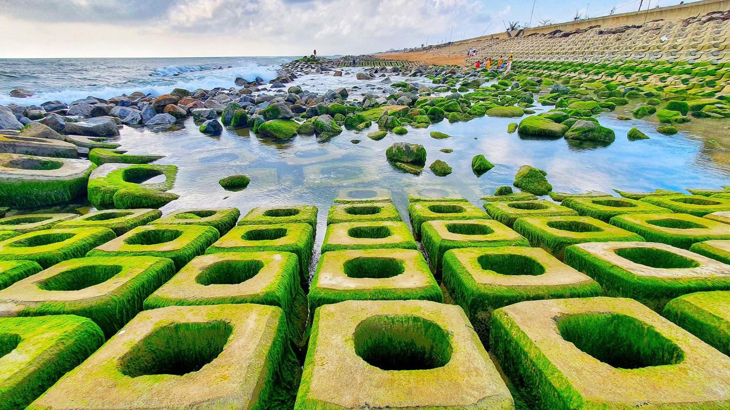Xóm Rớ - Bãi đá rêu xanh độc đáo nhất tại Phú Yên 2