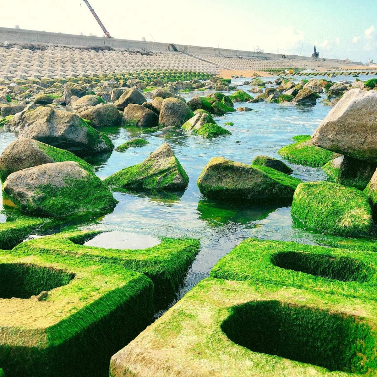 Xóm Rớ - Bãi đá rêu xanh độc đáo nhất tại Phú Yên 3