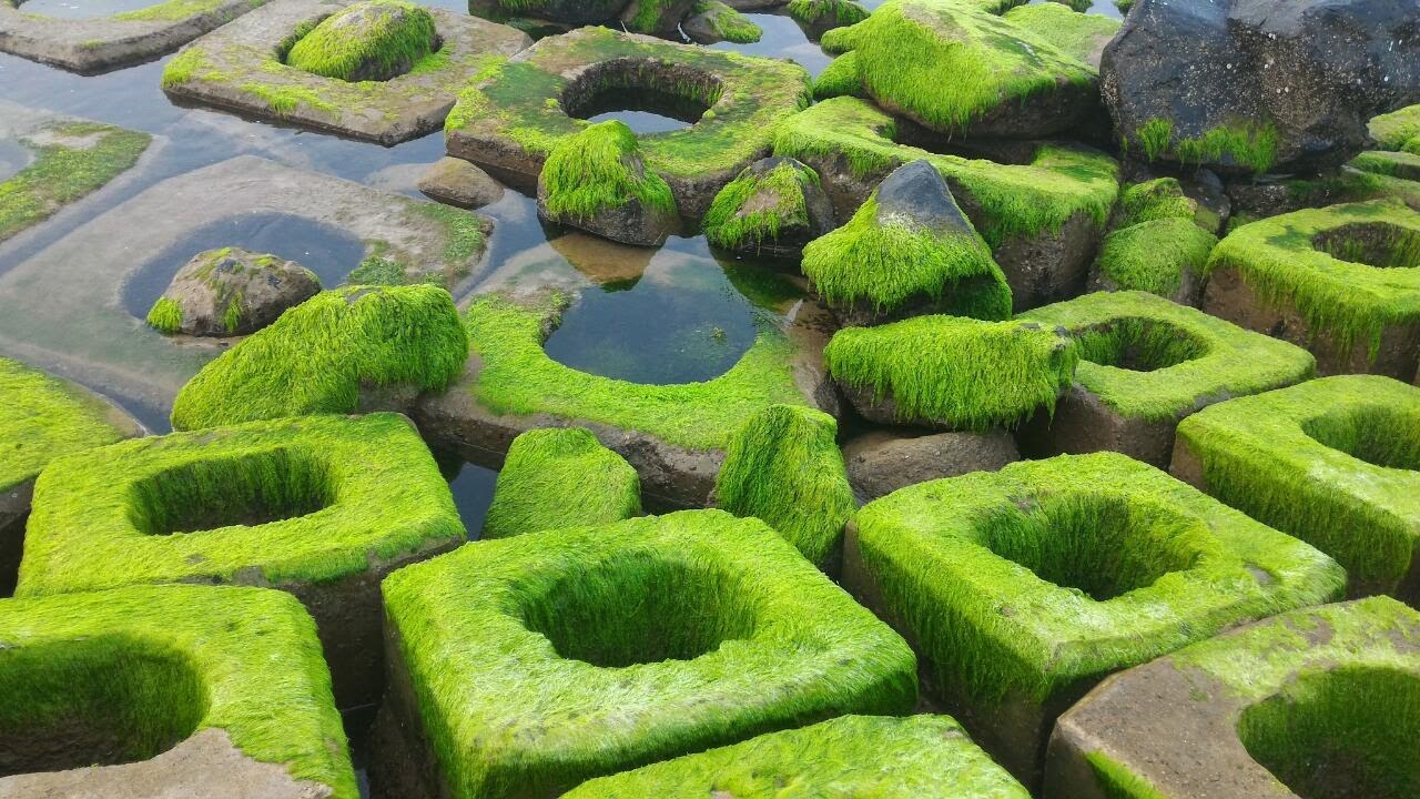 Xóm Rớ - Bãi đá rêu xanh độc đáo nhất tại Phú Yên 4