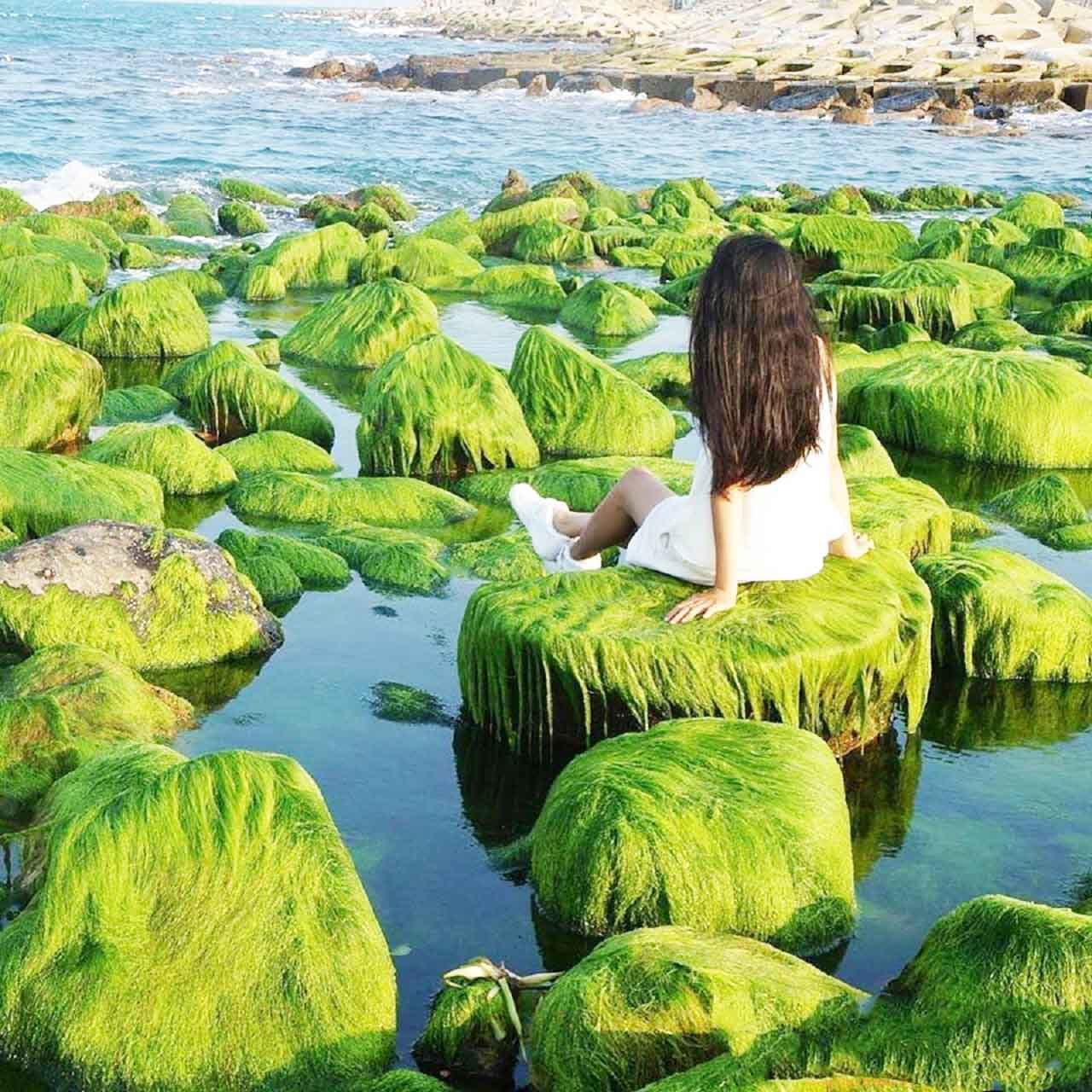 Xóm Rớ - Bãi đá rêu xanh độc đáo nhất tại Phú Yên 7