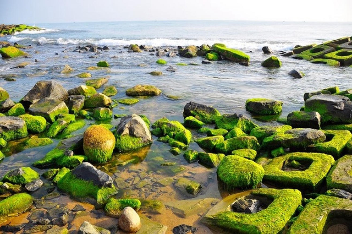 Xóm Rớ - Bãi đá rêu xanh độc đáo nhất tại Phú Yên 8