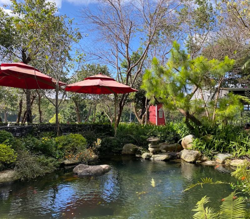 Xuân Hương Garden Coffee Đà Lạt: Tọa độ sống ảo với view bờ hồ cực đỉnh 7