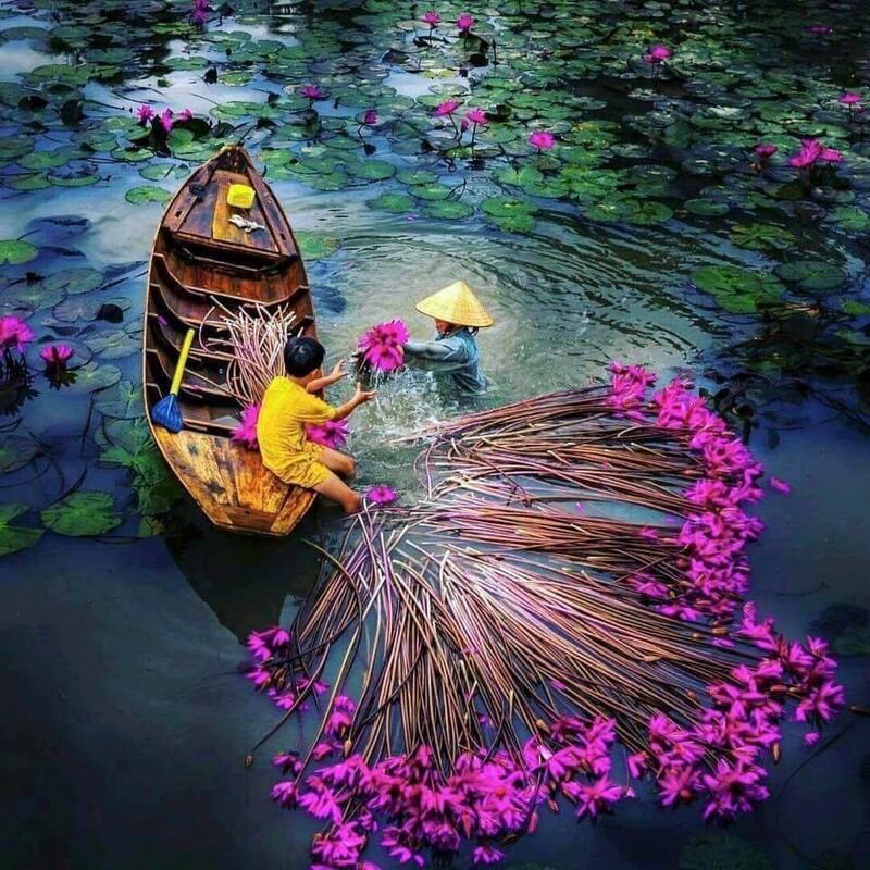 Xuồng ba lá miền Tây, tâm điểm giữa không gian sông nước 4