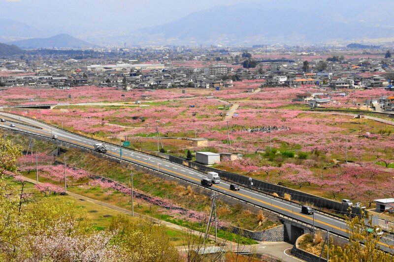 Yamanashi quê hương của ngọn núi Phú Sĩ Nhật Bản 14