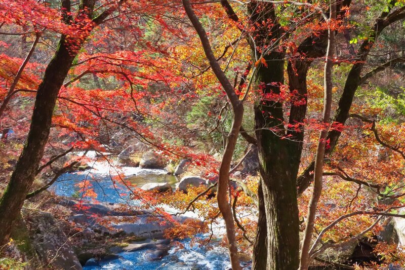 Yamanashi quê hương của ngọn núi Phú Sĩ Nhật Bản 10