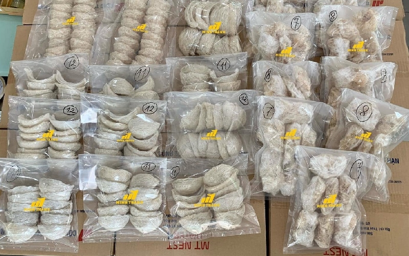 Kinh nghiệm mua yến sào Nha Trang cực kỳ chuẩn xác 4