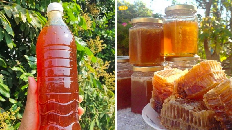 Khám phá Yên Sơn Tuyên Quang cùng những trải nghiệm thú vị 8